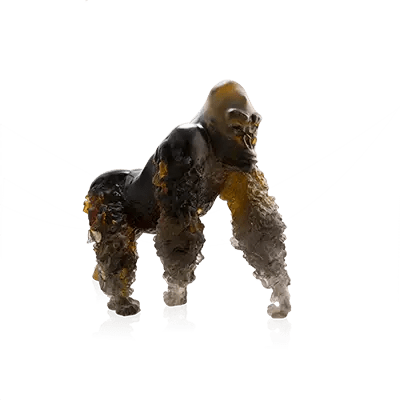 Silverback Gorilla in Amber Grey by Jean-No Daum