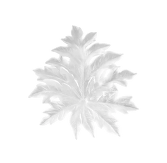 Small Short-Fixture Bornéo Wall Leaf in Green by Emilio Robba Daum