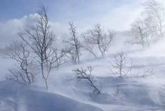 Snow Flurry Mercury Vase - 1827 Monarch Custom Glass