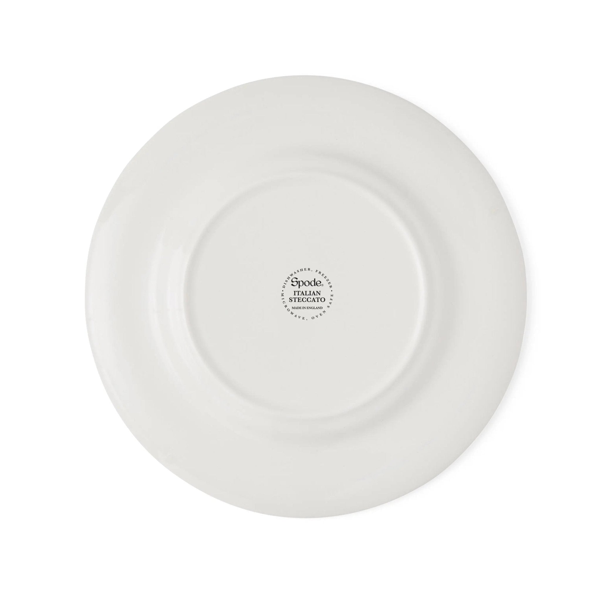 Steccato Dinner and Serveware Salad Plate Spode