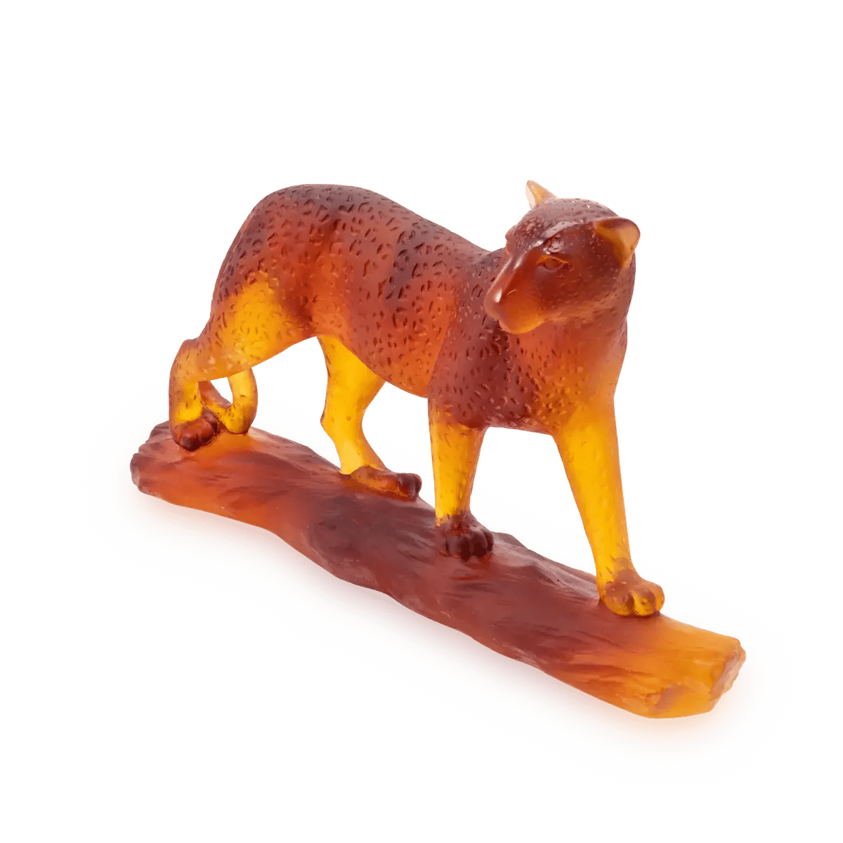 Tropical Leopard Daum