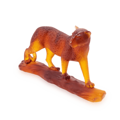 Tropical Leopard Daum