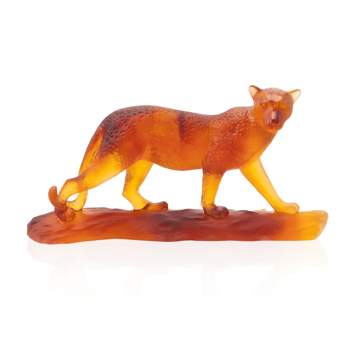 Tropical Leopard Daum