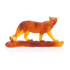 Tropical Leopard Daum