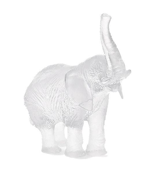 White Elephant by Jean-François Leroy Daum