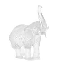 White Elephant by Jean-François Leroy Daum