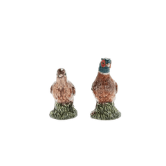Woodland Pheasant Salt and Pepper Spode
