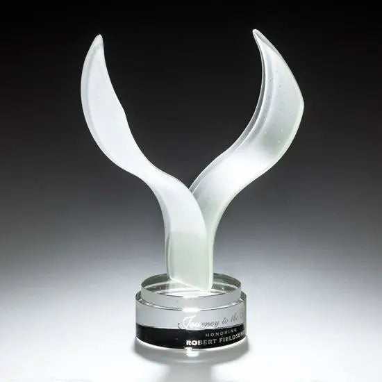 Aerial Award Crystal House