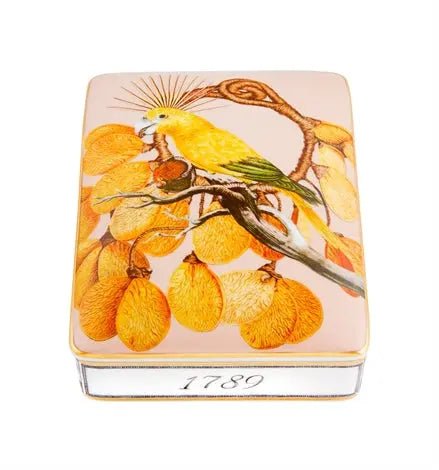 AMAZÅŒNIA CARD BOX Vista Alegre