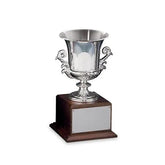 Award Cup - Silver Crystal House