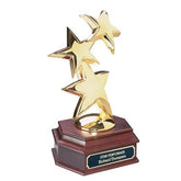 Constellation Award Crystal House