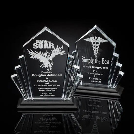 Flash Award - Acrylic Black Crystal House