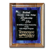 Metallic Fusion Crystal House