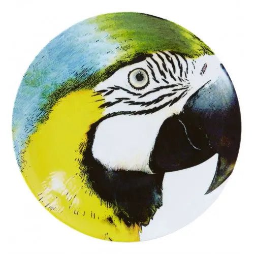 Olhar o Brasil Charger Plate Vista Alegre