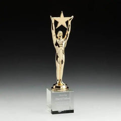 Star Achievement on Optical Crystal House