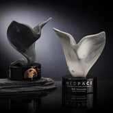 Upsurge Award Crystal House