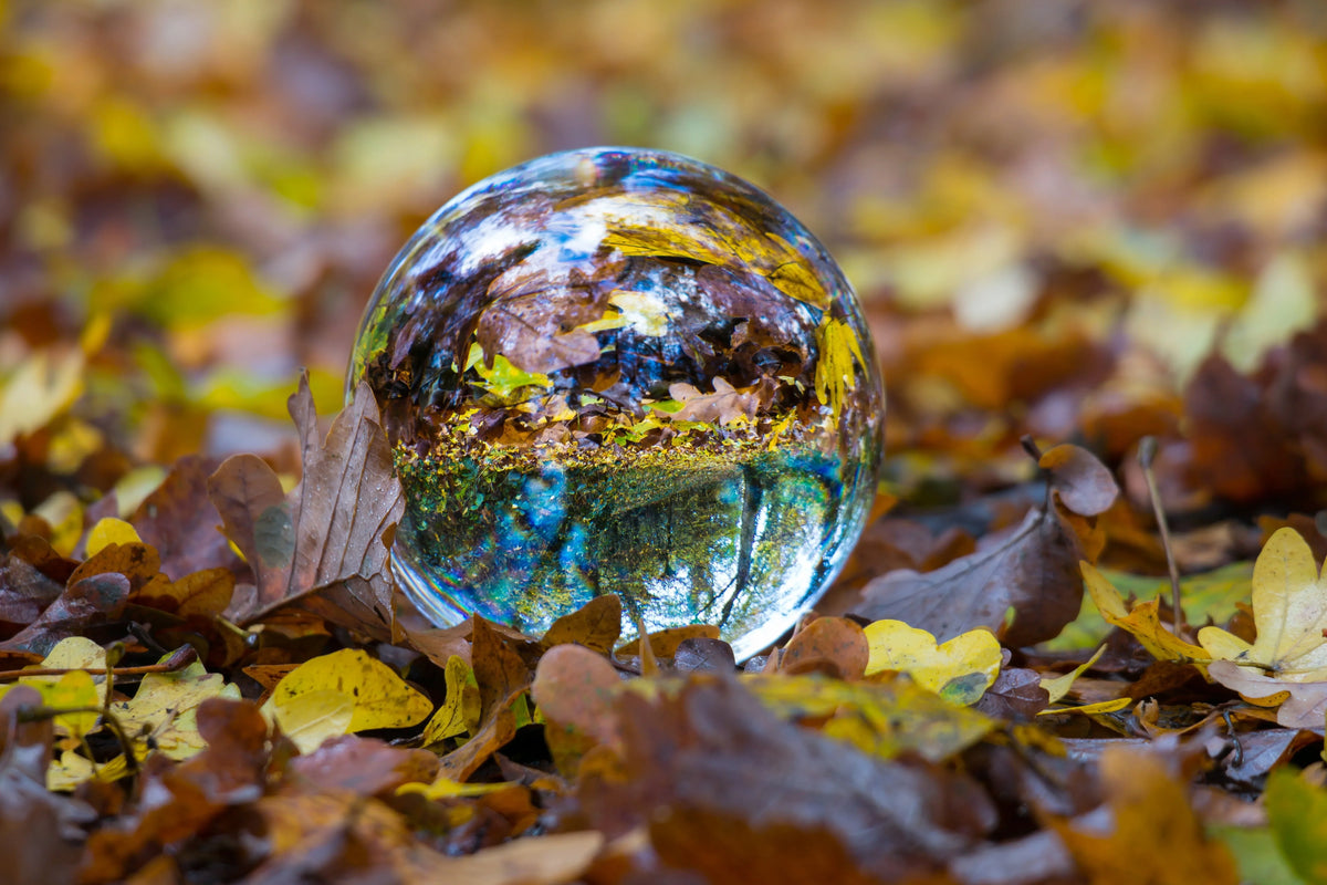 🍂 Autumn at Crystal House: A Season of Warmth, Reflection, and Light 💎 - Crystal House