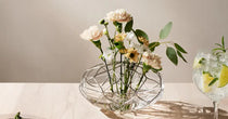 Serveware
