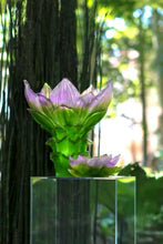 Large Vase - Jardin de Lotus Daum