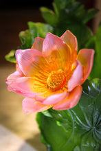Magnum Vase - Jardin de Lotus Daum