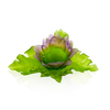 Duo Centerpiece - Jardin de Lotus (Copy) Daum