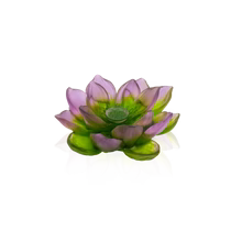 Green Pink Decorative Flower - Jardin de Lotus Daum