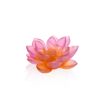 Amber Pink Décorative Flower - Jardin de Lotus Daum