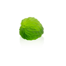 Sugar apple - Tutti Frutti Daum