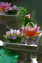 Green Pink Decorative Flower - Jardin de Lotus Daum