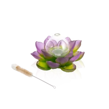 Green Pink Soliflore - Jardin de Lotus Daum