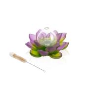 Green Pink Soliflore - Jardin de Lotus Daum