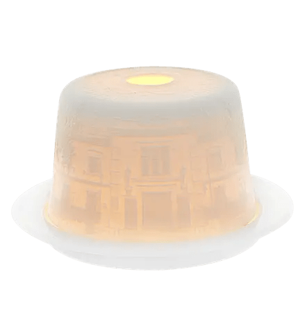 195 ANOS LITHOPHANIE 195 YEARS VA Vista Alegre