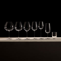 Orrefors Frantzén Champagne Glasses Set of 2 – Luxury Wedding Gift Ideas Orrefors