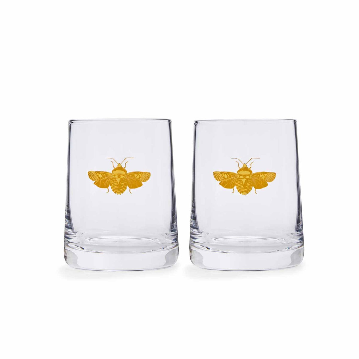 Spode Creatures of Curiosity Glass Tumbler Set – Luxury Gold Moth Whiskey Glasses
