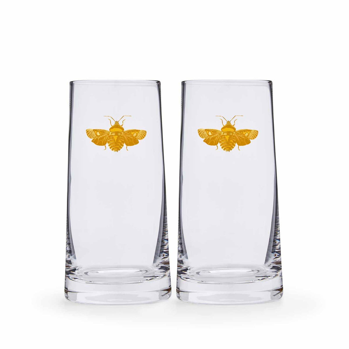 Spode Creatures of Curiosity Highball Glass Set – Luxury Gold Moth Tumblers