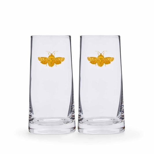 Spode Creatures of Curiosity Highball Glass Set – Luxury Gold Moth Tumblers