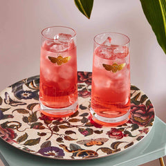 Spode Creatures of Curiosity Highball Glass Set – Luxury Gold Moth Tumblers