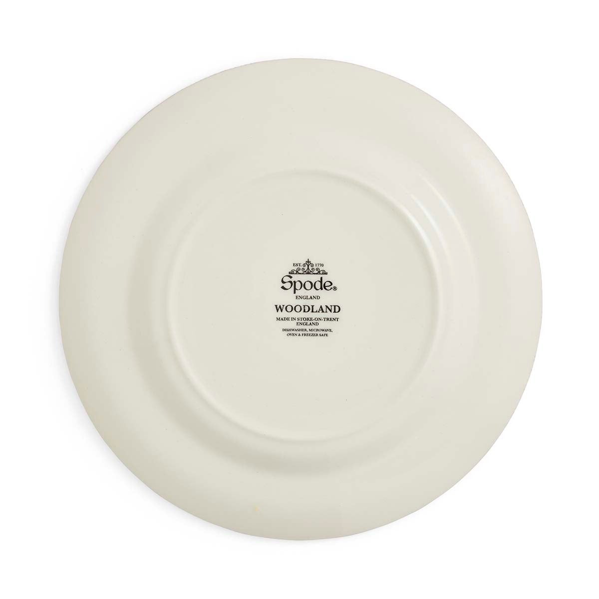 Spode Woodland Pumpkin Harvest Salad Plate – Autumn British Flowers Earthenware Spode