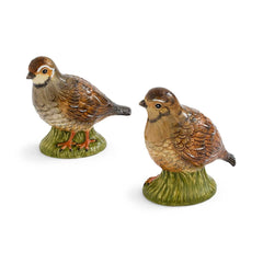 Spode Woodland Quail Salt & Pepper Set – Rustic Wildlife Table Accents Spode