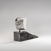 Janus_Mini_2