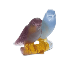 Amber Budgerigars Bird Couple | Daum Daum