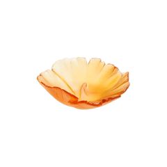 Amber Ginkgo Bowl Daum