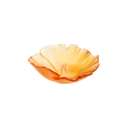 Amber Ginkgo Bowl Daum