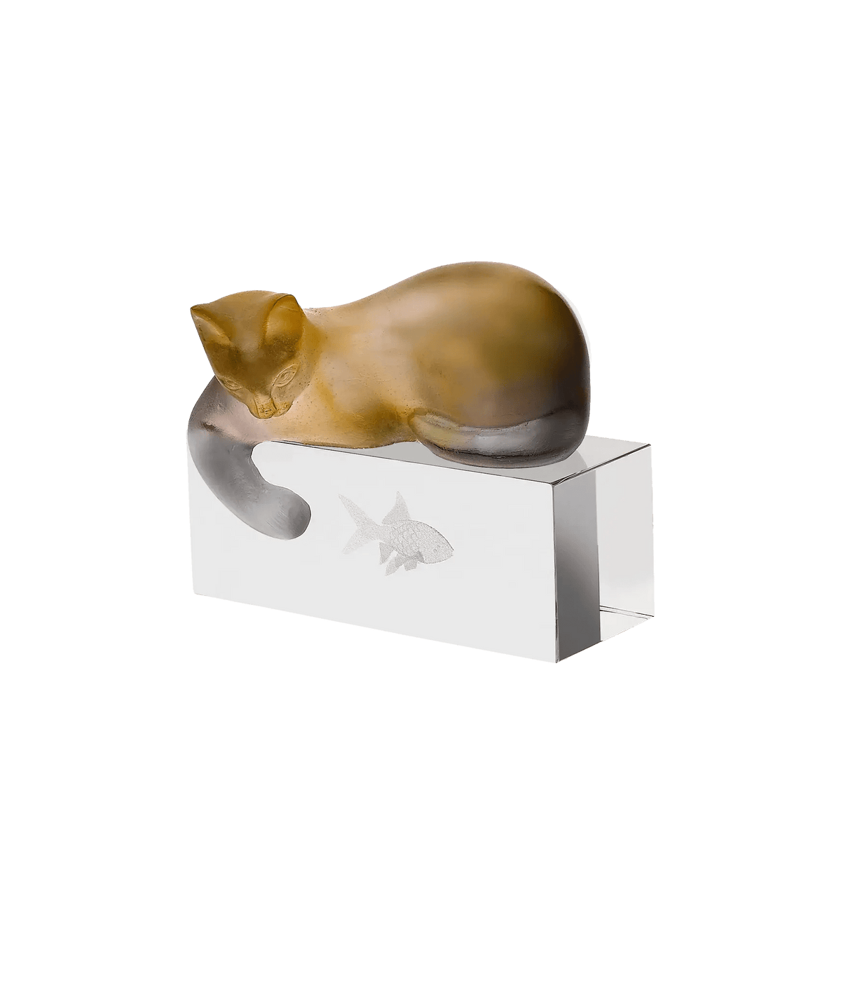 Amber & Grey Cat Daum