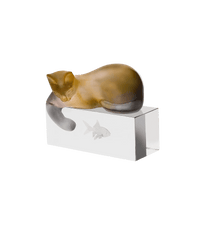 Amber & Grey Cat Daum