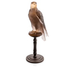 Amber pink Faucon Gerfaut by Madeleine van der Knoop Daum