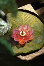 Amber Pink Incense Holder - Jardin de Lotus Daum - Crystal House