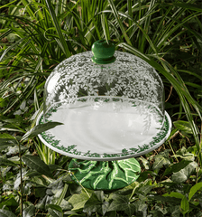 Apple Cake Stand with Dome Vista Alegre - Crystal House