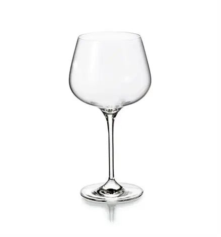 AROMA SET WITH 4 WINE GOBLETS Vista Alegre