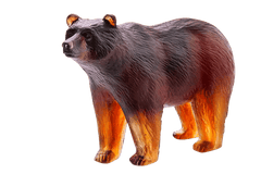 Bear in Dark Amber Daum